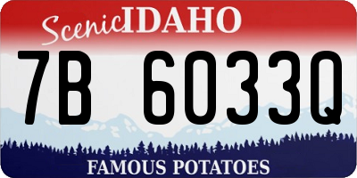 ID license plate 7B6033Q