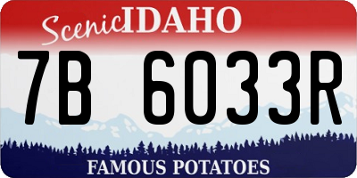 ID license plate 7B6033R