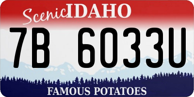 ID license plate 7B6033U