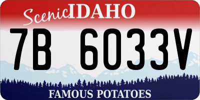 ID license plate 7B6033V