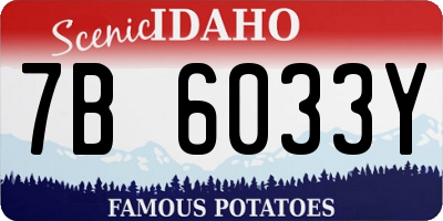 ID license plate 7B6033Y
