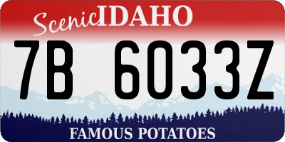 ID license plate 7B6033Z