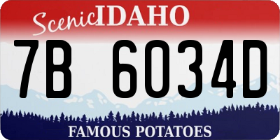 ID license plate 7B6034D