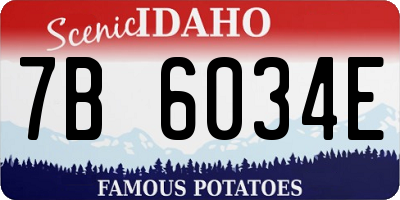 ID license plate 7B6034E