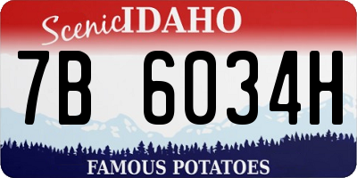 ID license plate 7B6034H