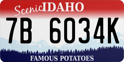 ID license plate 7B6034K