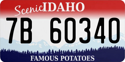 ID license plate 7B6034O