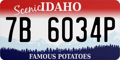 ID license plate 7B6034P