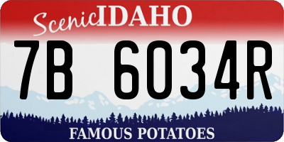 ID license plate 7B6034R