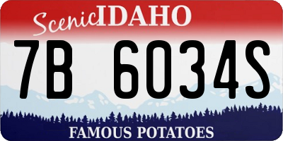ID license plate 7B6034S