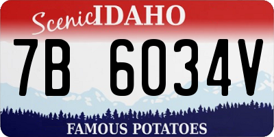 ID license plate 7B6034V