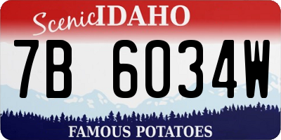 ID license plate 7B6034W