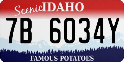 ID license plate 7B6034Y