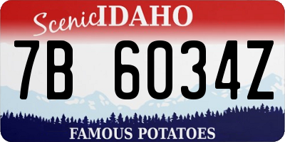 ID license plate 7B6034Z