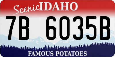 ID license plate 7B6035B