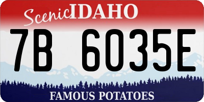 ID license plate 7B6035E