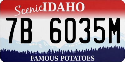 ID license plate 7B6035M
