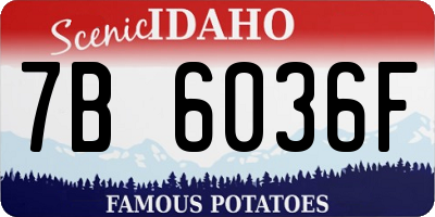 ID license plate 7B6036F