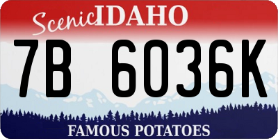 ID license plate 7B6036K