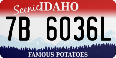 ID license plate 7B6036L