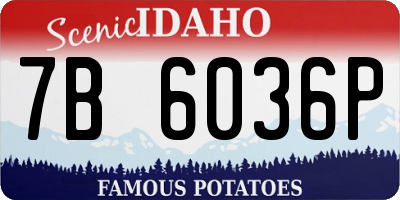 ID license plate 7B6036P