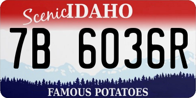 ID license plate 7B6036R