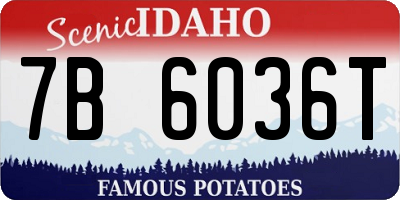ID license plate 7B6036T