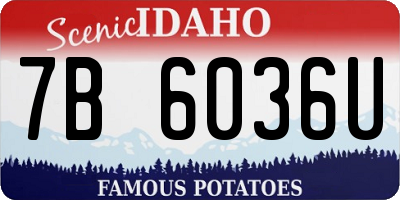 ID license plate 7B6036U