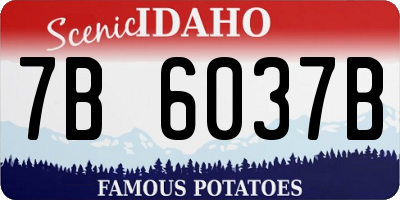 ID license plate 7B6037B