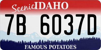 ID license plate 7B6037D