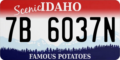 ID license plate 7B6037N