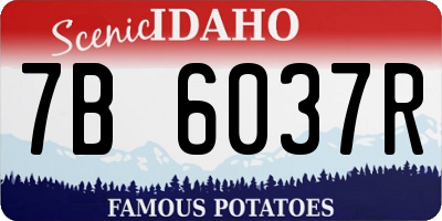 ID license plate 7B6037R