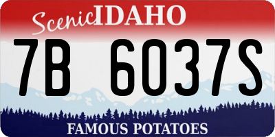 ID license plate 7B6037S