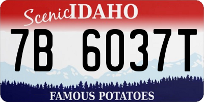 ID license plate 7B6037T