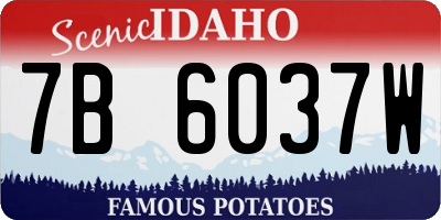 ID license plate 7B6037W