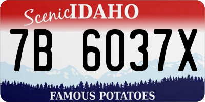 ID license plate 7B6037X