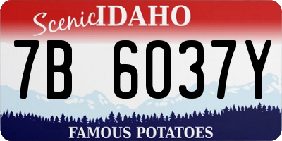 ID license plate 7B6037Y