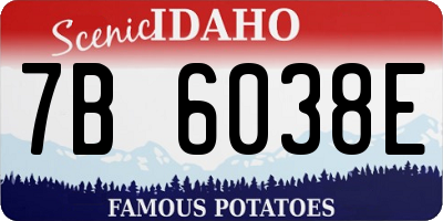 ID license plate 7B6038E