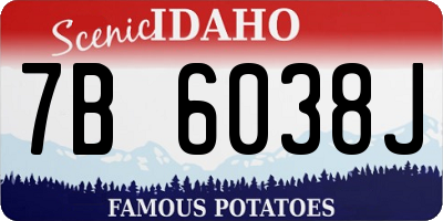 ID license plate 7B6038J