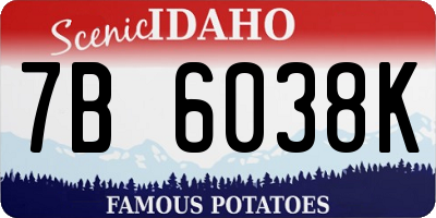 ID license plate 7B6038K