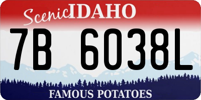ID license plate 7B6038L
