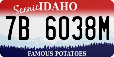 ID license plate 7B6038M