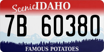 ID license plate 7B6038O