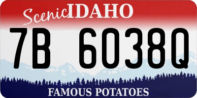 ID license plate 7B6038Q