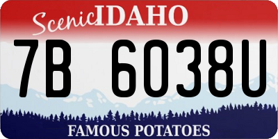 ID license plate 7B6038U