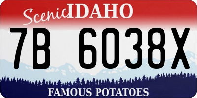 ID license plate 7B6038X