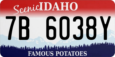 ID license plate 7B6038Y