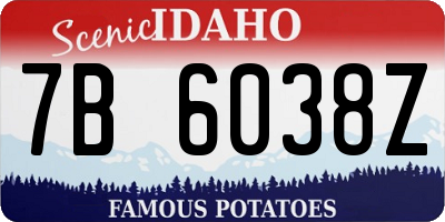 ID license plate 7B6038Z