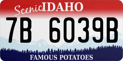 ID license plate 7B6039B