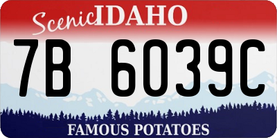 ID license plate 7B6039C